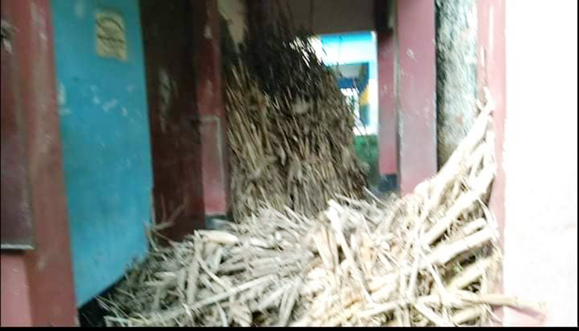 বিশ্ববিদ্যালয়ের বাসে বাড়ি ফিরছে বেরোবি শিক্ষার্থীরা | বিশ্ববিদ্যালয় নিউজ 