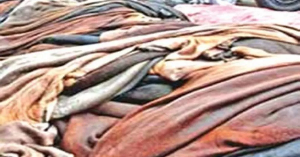 Committee formed to ensure fair price for sacrificial animal skins