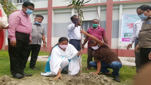 শেখ হেলাল উদ্দীন কলেজে বৃক্ষ রোপণ কর্মসূচী | কলেজ নিউজ 