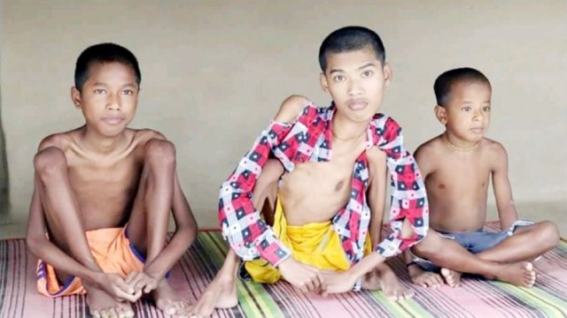 ডেঙ্গুতে দুইজনের মৃত্যু, হাসপাতালে ভর্তি ৪৩৭ | বিবিধ নিউজ 