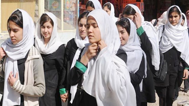 Assembly in govt pry schools closed for heatwave | School News 