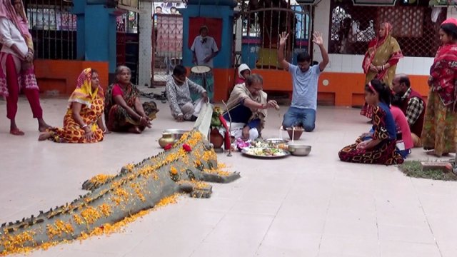 মাটির কুমিরকে হত্যা করাই রীতি! | বিবিধ নিউজ 
