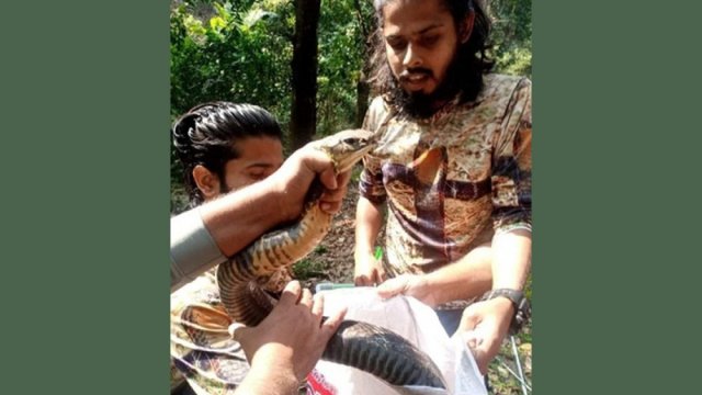 এইচএসসির ফল প্রকাশ হতে পারে অক্টোবরের মাঝামাঝি | পরীক্ষা নিউজ 