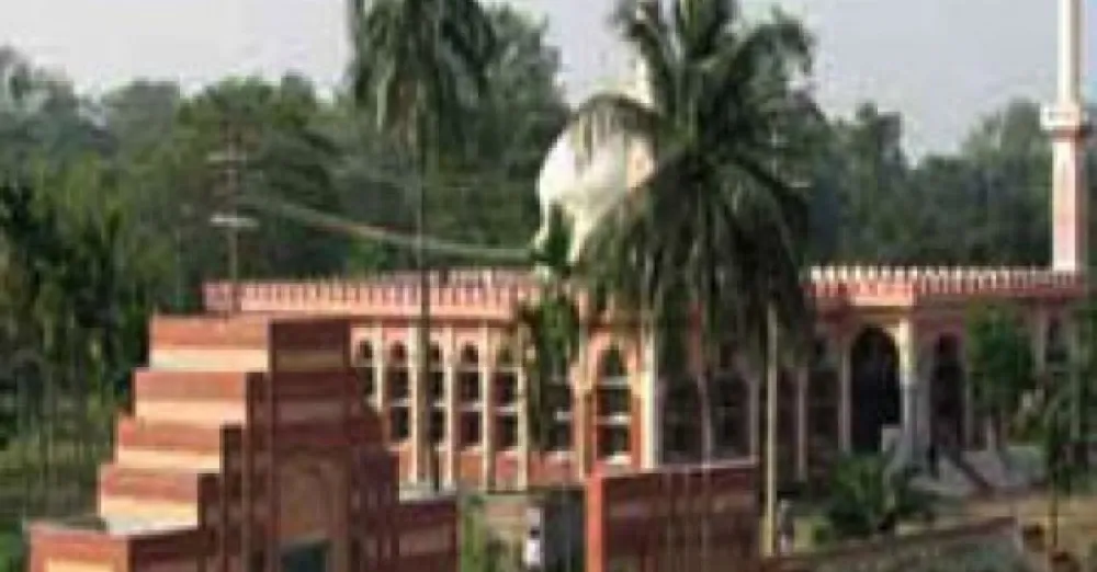 9 out of 11 teachers at ju law and justice department on leave