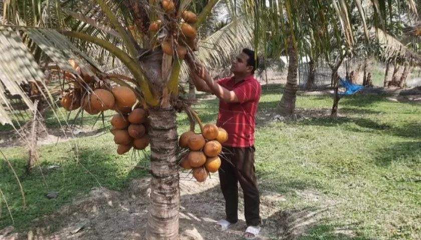 হৃদরোগ চিকিৎসায় সঙ্কট | মতামত নিউজ 