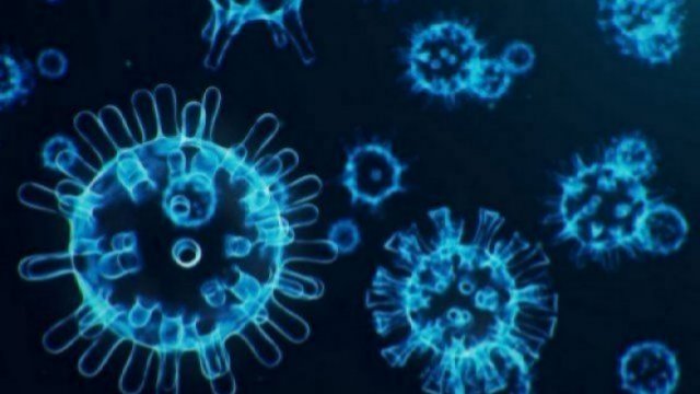 DGHS advises citizens to avoid India travel amid rising Covid cases | Miscellaneous News 