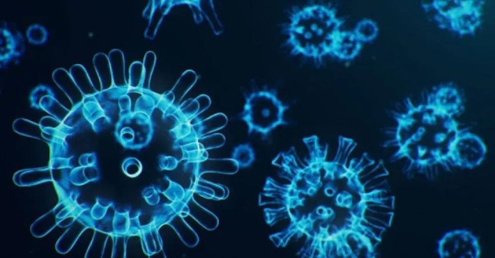 3 people test positive for covid 19 in 4 samples tested in one day