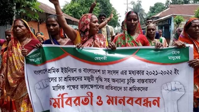 প্রত্যাহার হচ্ছে সাইবার আইনের ৫ হাজার ৮১৮ মামলা, মুক্তি পাচ্ছেন গ্রেফতারকৃতরা | বিবিধ নিউজ 