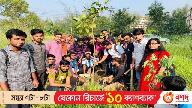 নোবিপ্রবিতে অর্থনীতি বিভাগের শিক্ষার্থীদের বৃক্ষরোপণ কর্মসূচি | বিশ্ববিদ্যালয় নিউজ 