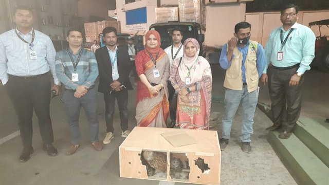 বিমানবন্দরে ১৭ ব্রাউনি পেঁচা জব্দ, সাড়ে ১৯ লাখ টাকা জরিমানা | বিবিধ নিউজ 