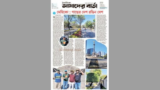 মেহিকো : গাছের দেশ রঙিন বেশ | মতামত নিউজ 