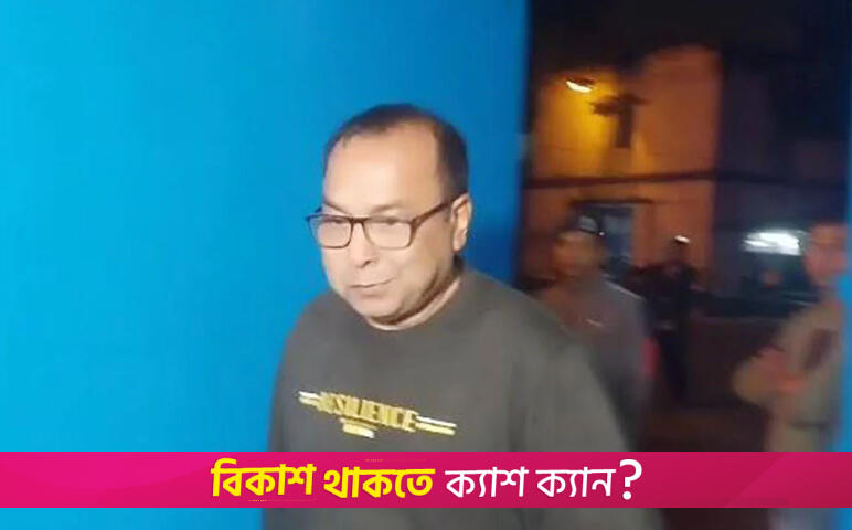 পি কে হালদার জামিনে মুক্ত | বিবিধ নিউজ 
