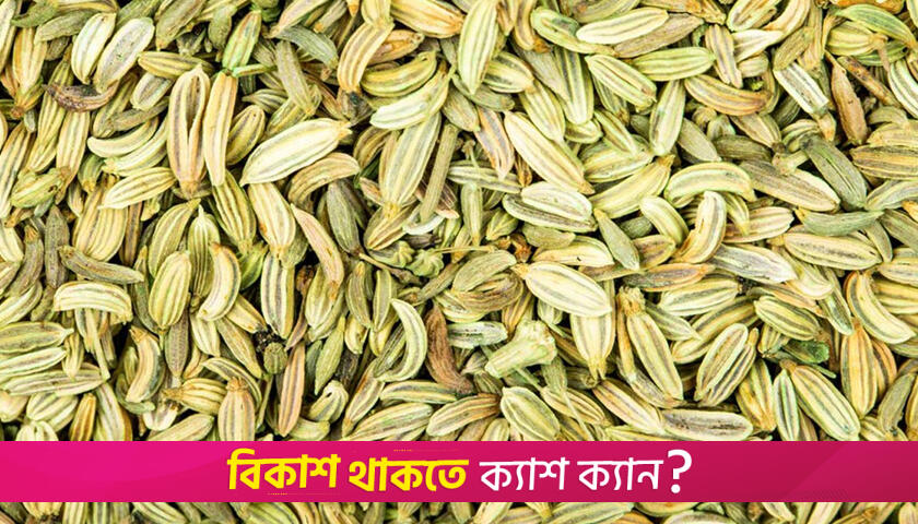 পেটের অস্বস্তি থেকে মুক্তি পেতে মৌরি খাওয়ার সঠিক উপায় | লাইফস্টাইল নিউজ 