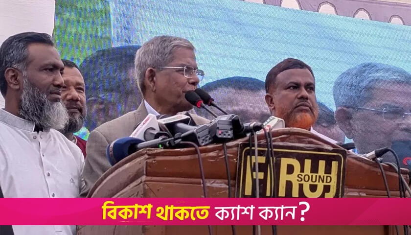 সরকারে থেকে দল গঠন করলে মানুষ মেনে নেবে না: মির্জা ফখরুল | বিবিধ নিউজ 