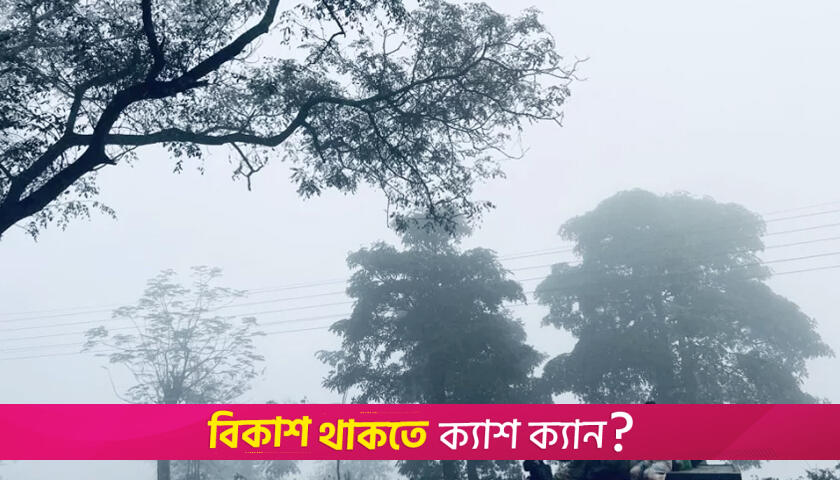 শ্রীমঙ্গলে মৌসুমের সর্বনিম্ন তাপমাত্রা | বিবিধ নিউজ 