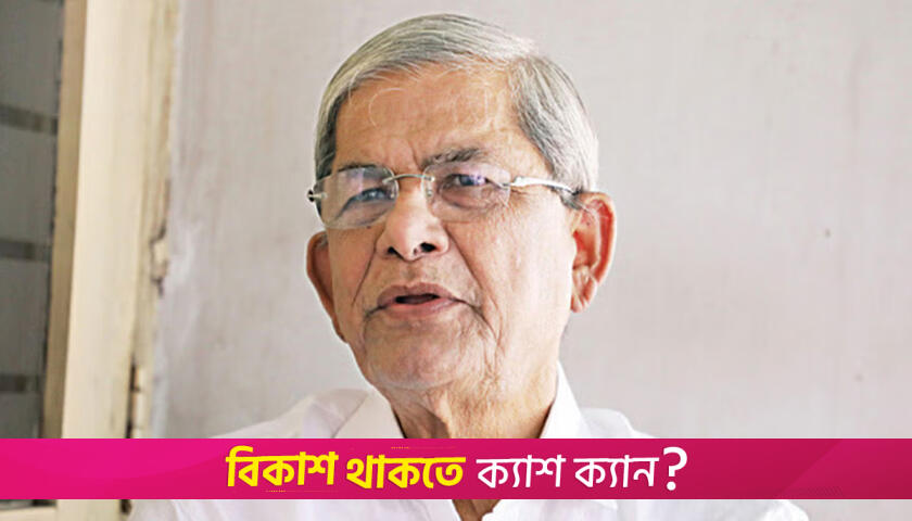 হাসিনার পাতা ফাঁদে পা রাখা যাবে না: মির্জা ফখরুল | বিবিধ নিউজ 