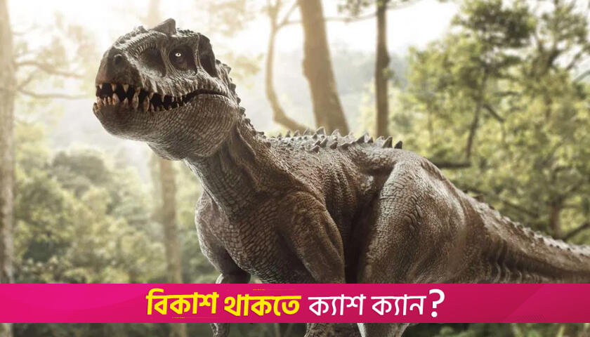 অস্ট্রেলিয়ার স্কুলে মিললো ডাইনোসরের পায়ের ছাপ | স্কুল নিউজ 