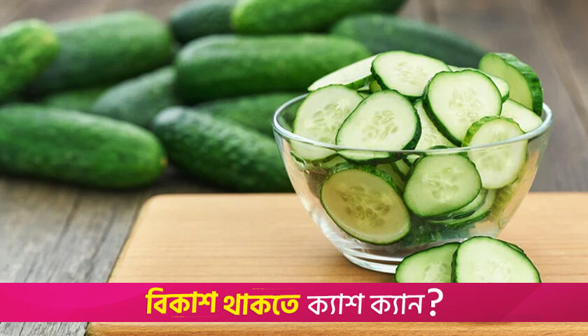 সারাদিন রোজা রেখে ইফতারে কী শসা খাওয়া যাবে? | লাইফস্টাইল নিউজ 