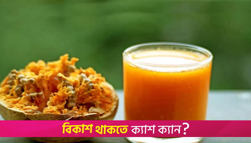 গরমে বেল খাবেন যেসব কারণে | লাইফস্টাইল নিউজ 