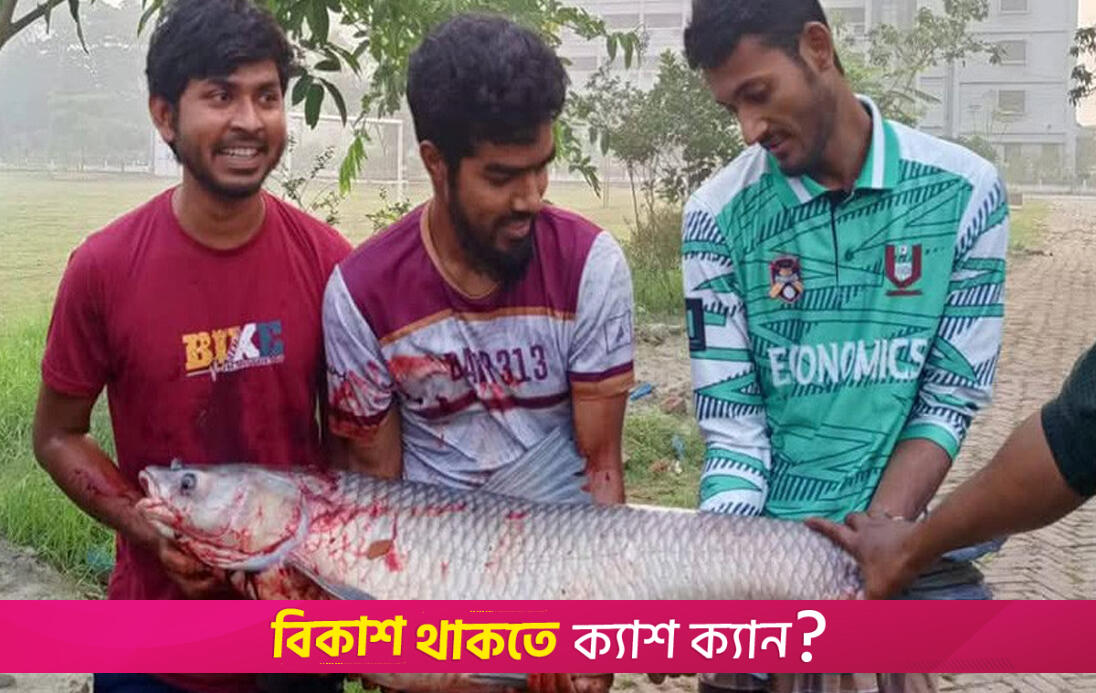 ২০ কেজির গ্রাস কার্প মাছ মিললো বিশ্ববিদ্যালয়ের লেকে | বিশ্ববিদ্যালয় নিউজ 