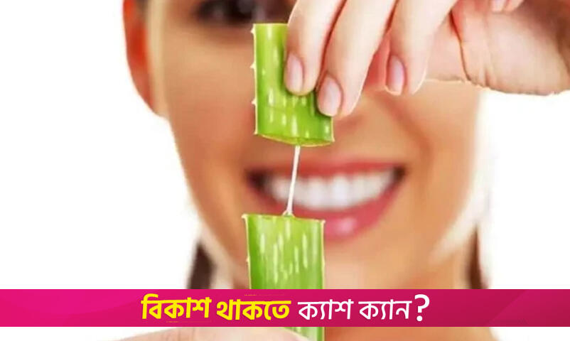 রাতে ত্বকে অ্যালোভেরা জেল লাগানোর উপকারিতা | লাইফস্টাইল নিউজ 