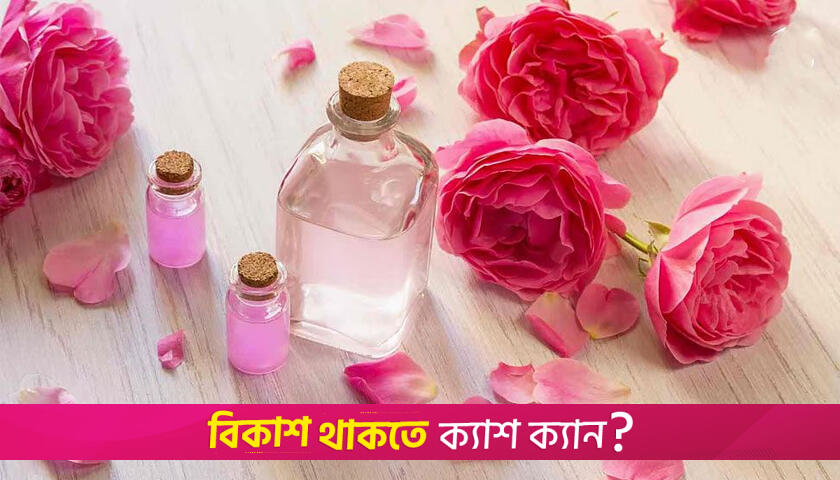 গরমে ত্বকের যত্নে একমাত্র ভরসা হতে পারে গোলাপজল | লাইফস্টাইল নিউজ 