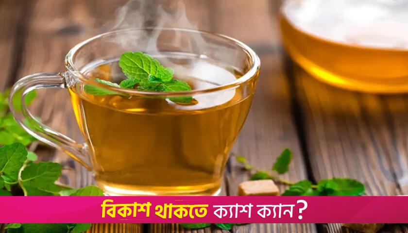 ওজন কমাতে সাহায্য করে যেসব ভেষজ চা | লাইফস্টাইল নিউজ 