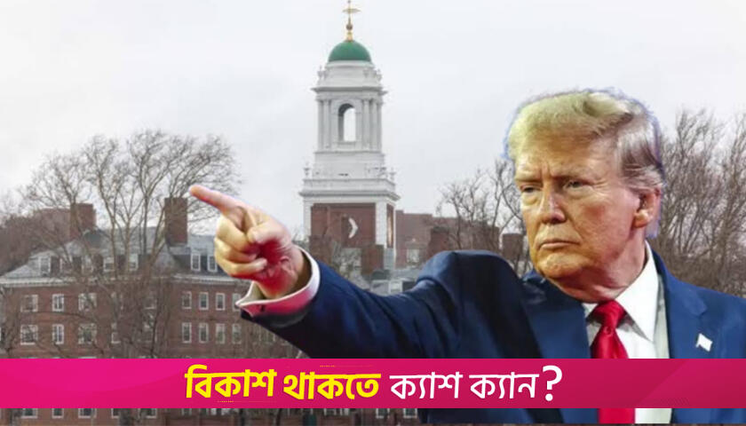 Judge halts Trump administration’s attempt to ban foreign student at Harvard | University News 