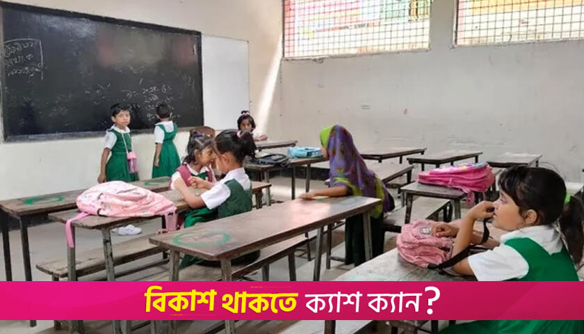 শিক্ষকদের কর্মবিরতিতে প্রাথমিকে ক্লাস-পরীক্ষা বন্ধ, অভিভাবকদের উদ্বেগ | স্কুল নিউজ 
