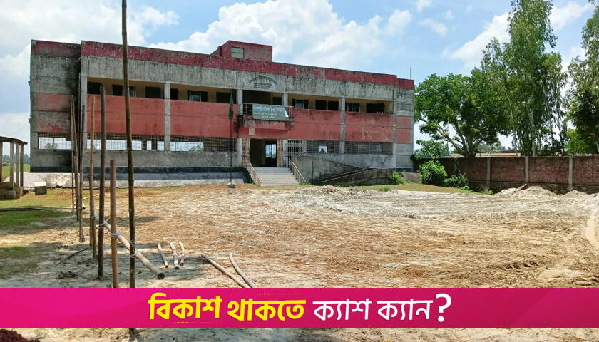 বিএনপি নেত্রীর নির্দেশে স্কুল মাঠ দখল করে পশুর হাট | স্কুল নিউজ 
