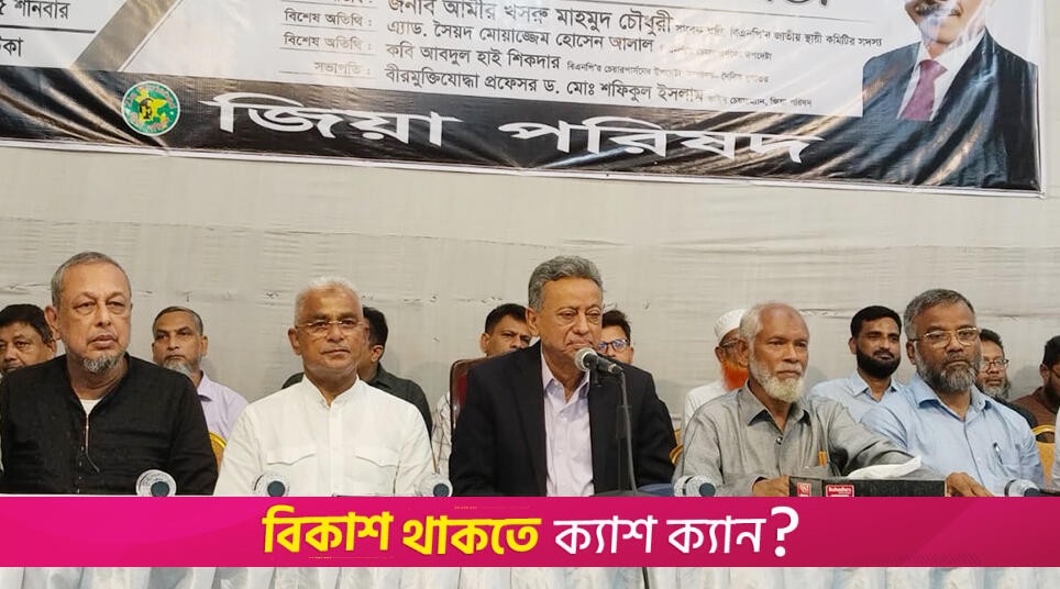 নির্বাচনের মাধ্যমে দেশের গণতন্ত্রের পুনঃপ্রবর্তন চাই: আমীর খসরু | বিবিধ নিউজ 