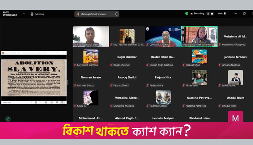 নর্থ সাউথ ইউনিভার্সিটির স্কুল অব হিউম্যানিটিজ অ্যান্ড সোশ্যাল সায়েন্সেসের ওয়েবিনার | বিশ্ববিদ্যালয় নিউজ 