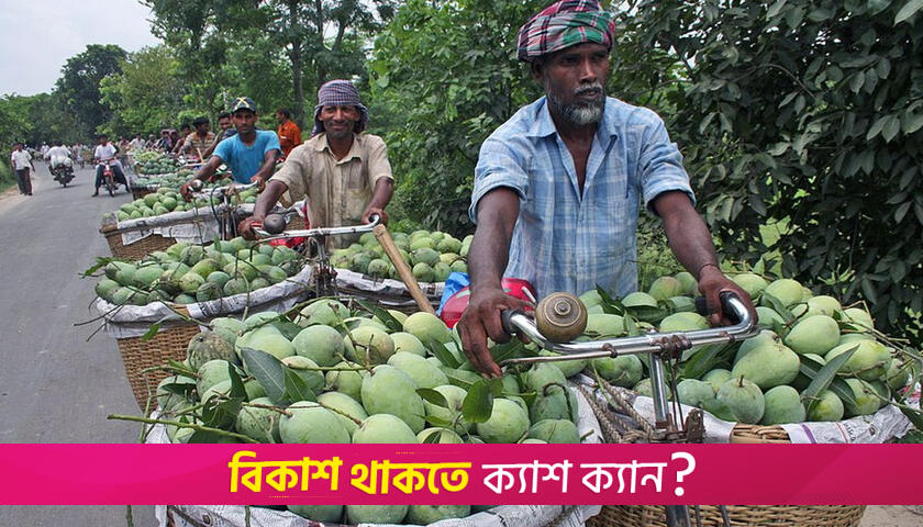 আম কেন ৫৪ কেজিতে এক মণ? | বিবিধ নিউজ 
