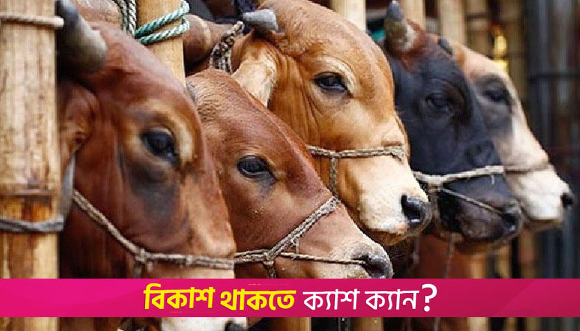 মহানবী (সা.) হালাল প্রাণীর যেসব অঙ্গ খাওয়া অপছন্দ করতেন | বিবিধ নিউজ 