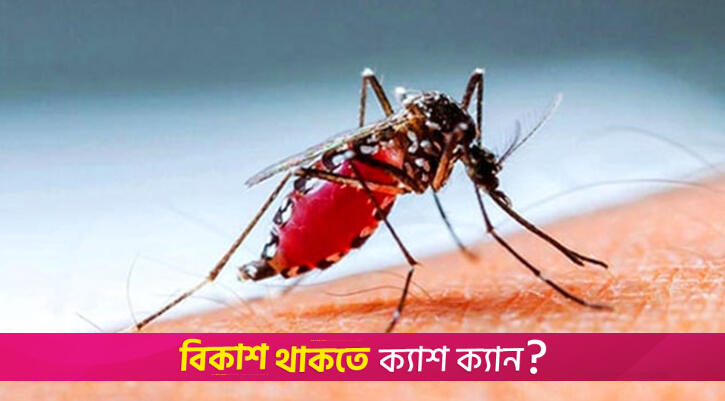 Dengue: 26 more cases reported in 24hrs | Miscellaneous News 