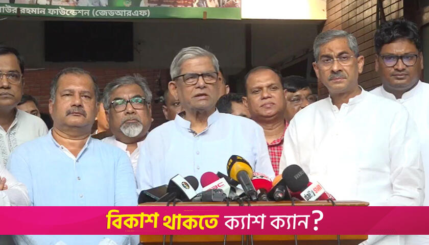‘ফেব্রুয়ারির মাঝামাঝিতে আগামী নির্বাচনের সময়সীমা নির্ধারণ হয়েছে’ | বিবিধ নিউজ 