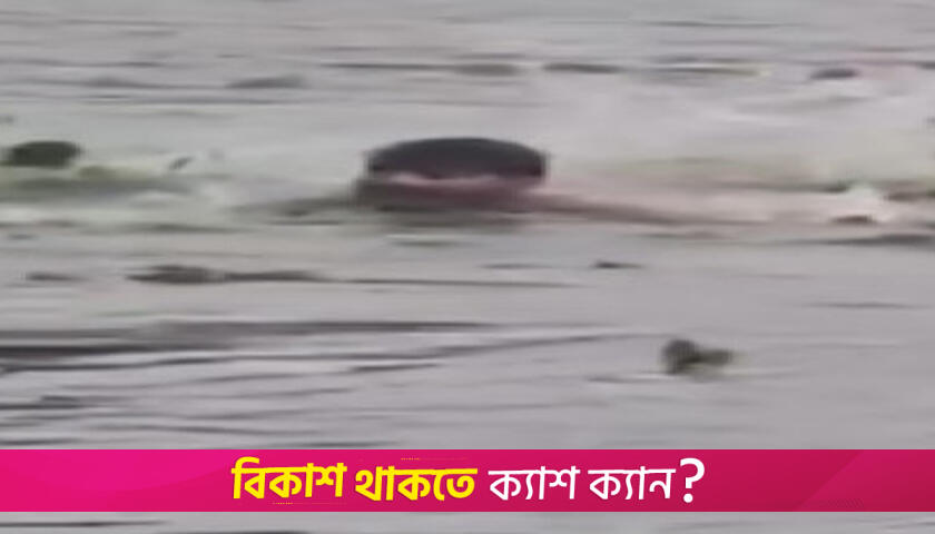 বড় ভাই নদীতে ডুবছে ছোট ভাইয়ের ভিডিওধারণ! | বিবিধ নিউজ 