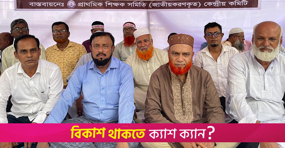 জাতীয়করণকৃত প্রাথমিক শিক্ষকদের আমলাতান্ত্রিক জটিলতা নিরসনের দাবি | স্কুল নিউজ 
