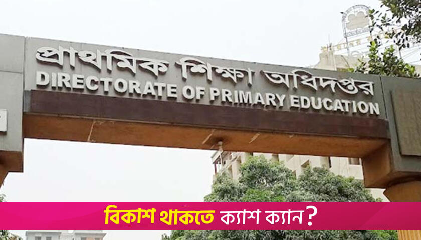 ঘন ঘন প্রাথমিকের মহাপরিচালক বদলে বিরূপ প্রভাব | বিবিধ নিউজ 