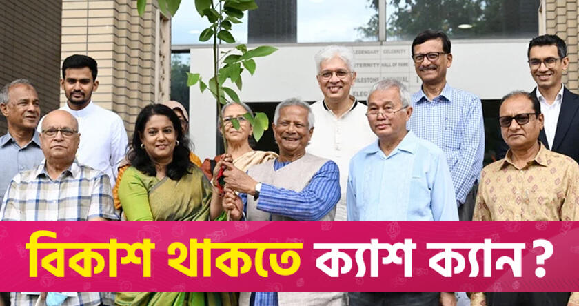 CA opens Environment Fair, Tree Fair | interim government News 
