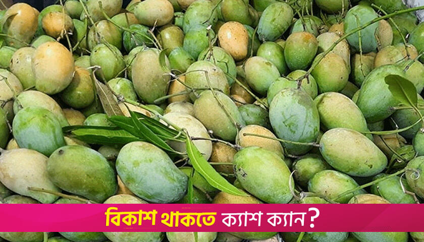 The surprising health benefits of mangoes, says nutritionist | Lifestyle News 
