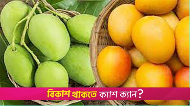 The surprising health benefits of mangoes, says nutritionist | Lifestyle News 