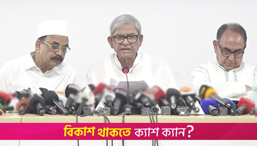 নির্বাচিত সরকারের সঙ্গে কাজ করতে মুখিয়ে আছে চীন: মির্জা ফখরুল | জাতীয় নিউজ 