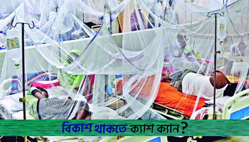 ডেঙ্গুতে এক জনের মৃত্যু, আক্রান্ত ৪১৬ | বিবিধ নিউজ 