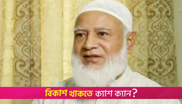 দেশে এখনো সুষ্ঠু নির্বাচনের পরিবেশ দেখছি না: জামায়াত আমির | জাতীয় নিউজ 